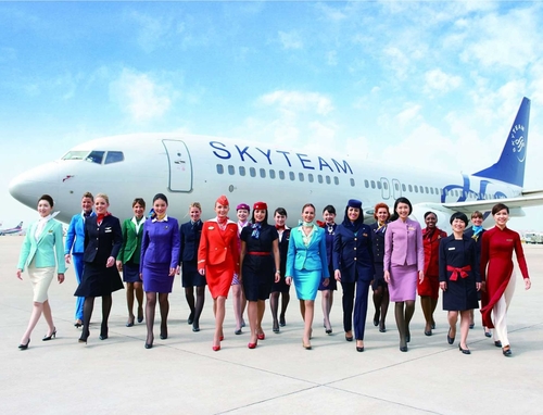 Skyteam-resize.jpg