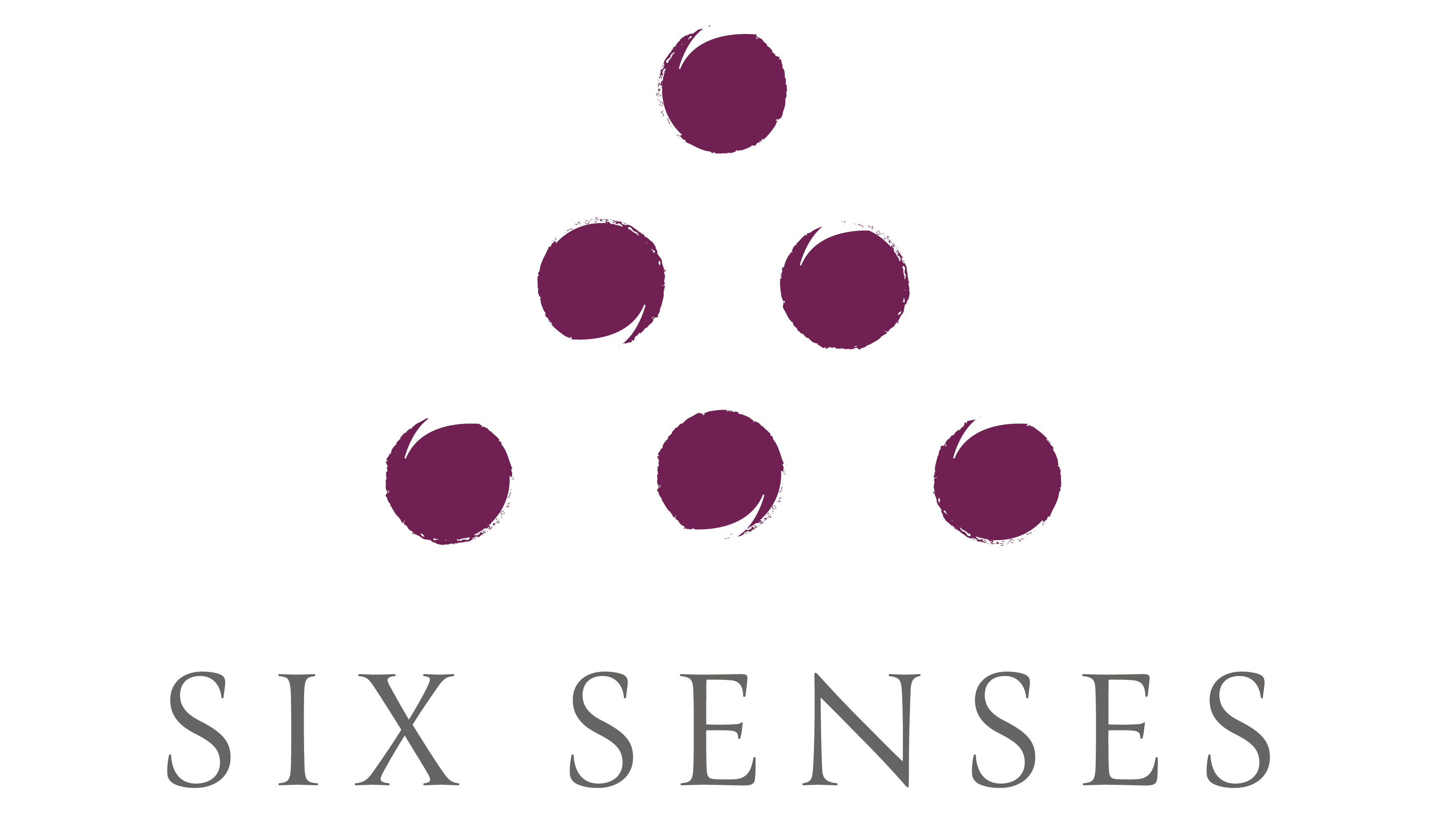 SSCD Standard logo - PNG.png