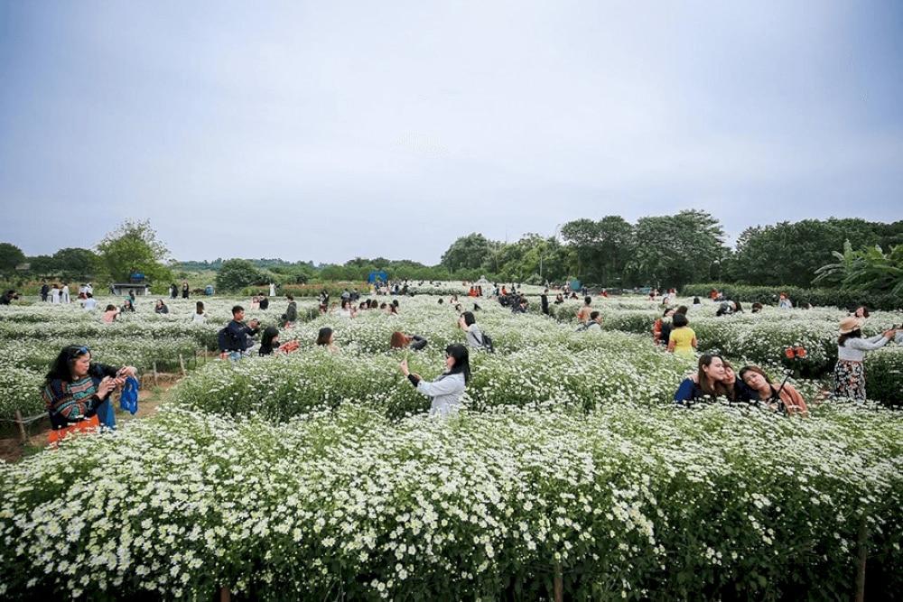 Red River Flower Garden is a popular place with both locals and tourists