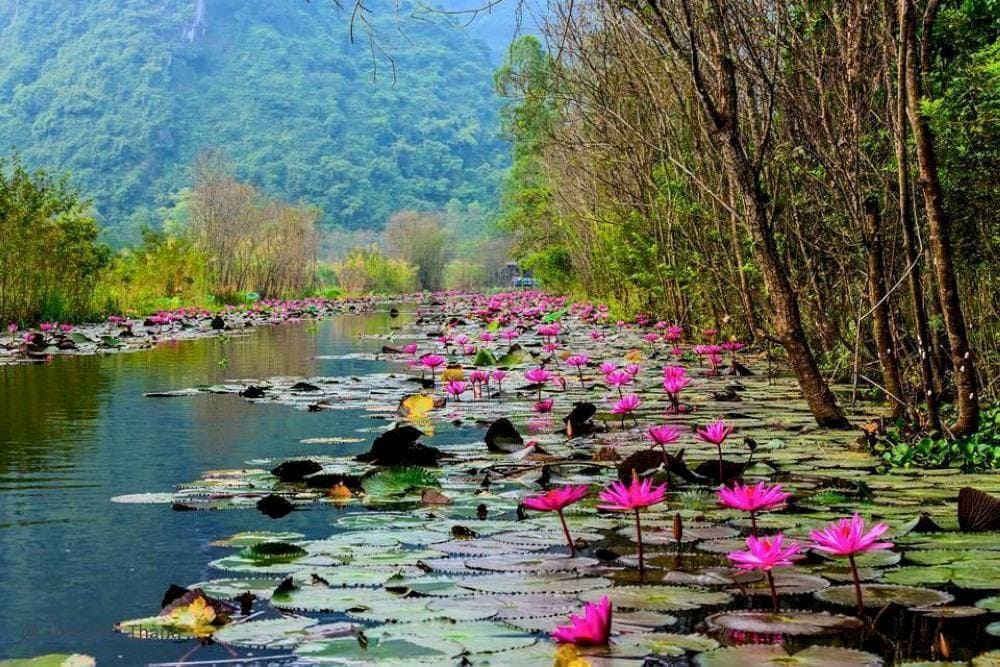 Pilgrims and tourists alike can enjoy the beauty of the river, with its reflective waters and mist-covered mountains