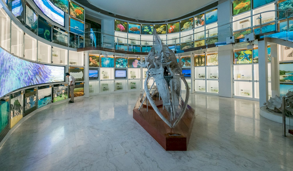 If you are a nature lover, you should not miss this area