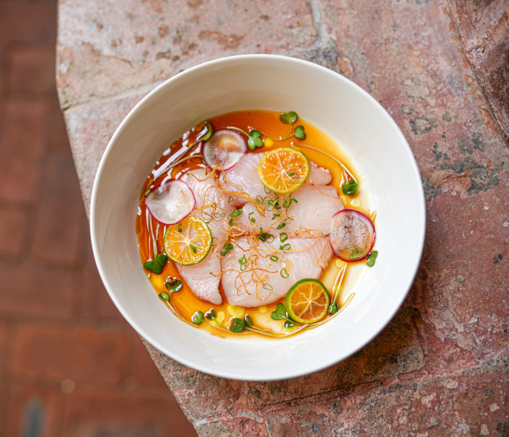 Hunt for Red Snapper