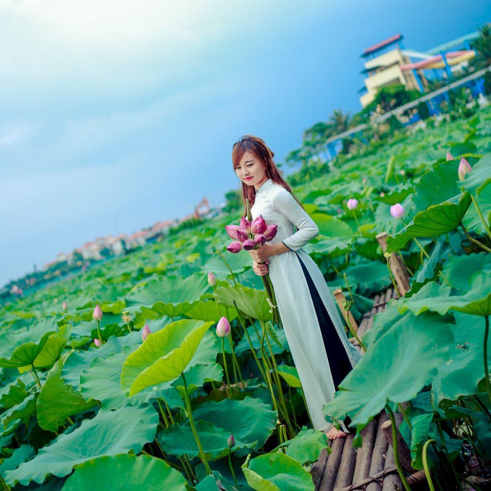 Tourists take photos by the lush green lotus pond